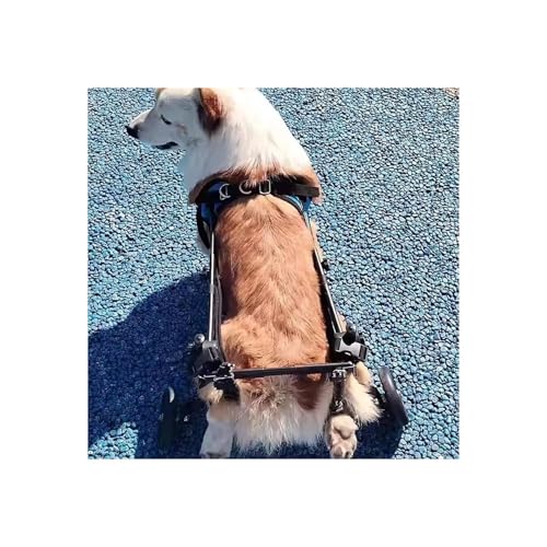 Hunderollstuhl, Gehhilfen Für Die Rehabilitation Von Haustieren, Unterstützung Für Die Hinterbeine Von Hunden, Verstellbare Hundeassistenzwagen Mit Rädern, Gehhilfen Für Kleine Amputierte Haustiere(S) von Generic