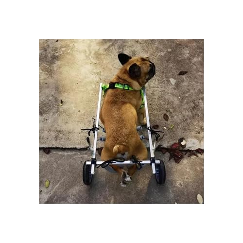 Hunderollstuhl, Gehhilfen Für Haustiere, Mobilitätshilfen Für Die Hinterbeine, Verstellbare Genesungsrollstühle Für Verletzte, Gelähmte Hunde, Tierwagen Mit Beinstütze Und Hüftstütze(L) von Generic