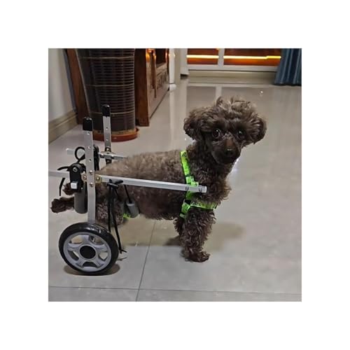 Hunderollstuhl, Haustierrollstuhl, Hundehilfsfahrzeug, Aluminiumbeine, Trainingsräder Für Die Hunderehabilitation, 3,3–19,8 Pfund, Tier-Recovery-Cart-Orthese Für Behinderte/Gelähmte(XXS) von Generic