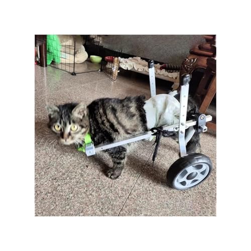 Hunderollstuhl, Katzenrollstuhl Für Die Hinterbeine, Leichtes Fahrzeug Für Kleine, Mittelgroße Und Große Haustiere, Rehabilitationstrainingswagen Für Haustiere Bei Arthritis(S) von Generic