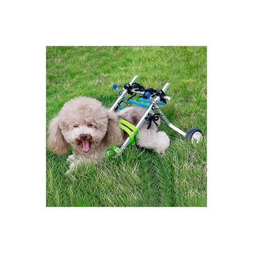 Hunderollstuhl, Kleine Hunde-/Katzenrollstühle, Hüftstütze, Teddy, Corgi-gestützte Gehhilfe Für Verletzte Hinterbeine, Laufräder Für Die Hunderehabilitation(XS) von Generic
