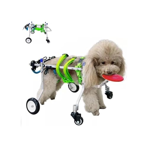 Hunderollstuhl, Kleiner Hunderollstuhl, 4 Räder, Volle Unterstützung, Verstellbarer Gehwagen Für Verletzte Hunde, Rollstuhl Mit Eingeschränkter Mobilität Für Hunde, Trainingshilfe Für Tiere(XS) von Generic