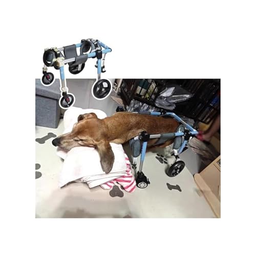 Hunderollstuhl, Mobilitätshilfen Für Hunde Bei Altersbedingter Arthritis, Hunderollstuhl Mit Voller Unterstützung Für Die Vorder- Und Hinterbeine, Verstellbarer Rollstuhl Zur Rehabilitation(XS) von Generic