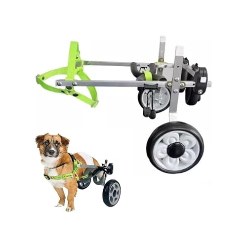 Hunderollstuhl, Mobilitätshilfen Für Kleine Hunde Zum Spazierengehen, Rollstuhlgestütztes Training Für Haustiere, Tragbarer Hunderollstuhlwagen Für Hinterteile, 1,5-10 Kg Schweres Hunde-Spazierauto(M) Hunderollstuhl, Mobilitätshilfen Für Kleine Hunde Zum Spazierengehen, Rollstuhlgestütztes Training Für Haustiere, Tragbarer Hunderollstuhlwagen Für Hinterteile, 1,5-10 Kg Schweres Hunde-Spazierauto(M) von Generic