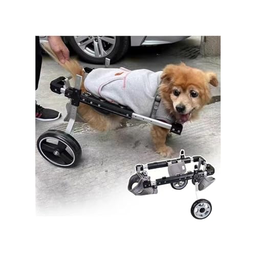Hunderollstuhl, Rollstuhl Für Gelähmte Hunde, Für Die Hinterbeine, Rehabilitationswagen Mit 2 Rädern Für Kleine/große/mittelgroße Hunde, Aluminium-Mobilitätswagen Zur Unterstützung Der Hinterbeine(XS) von Generic