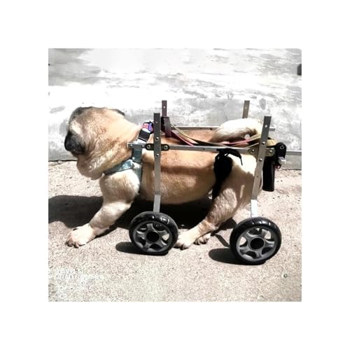 Hunderollstuhl, Rollstuhl Für Verletzte Und Behinderte Haustiere, Für Die Hinterbeine, Hüft- Und Beinstütze Für Hunde, Aluminium-Hunderollstuhl, Welpen-Lauflernwagen Für 2,5–10,9 Kg(S) von Generic