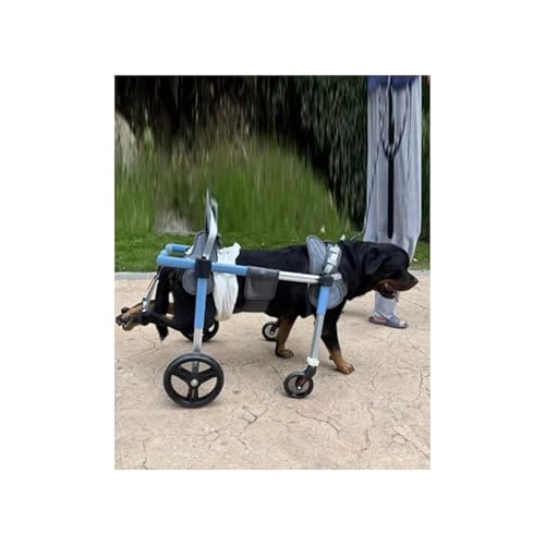 Hunderollstuhl, Verletzte Alle Beine, Haustier-Beinschienen, Kleiner Mittelgroßer Handicap-Hunderollstuhl, 4 Räder, Volle Unterstützung, Komfortable Radroll-Unterstützungswerkzeuge(XXL) von Generic
