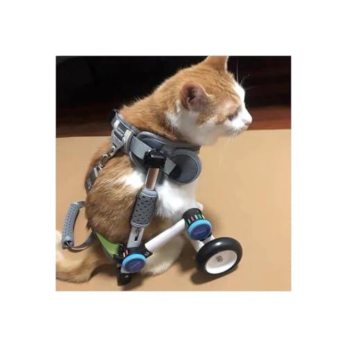 Hunderollstuhl, Verstellbar, Leicht, Kleiner Katzen-Haustierwagen Mit Weichem Geschirr, Unterstützt Handicap-Tiere Bei Schwachen Hinterbeinen, Rehabilitationstraining(XXS) von Generic