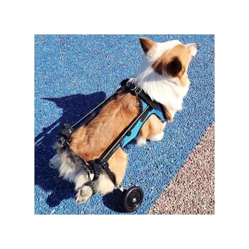 Hunderollstuhl, Verstellbarer Hundewagen/Rollstuhl Für Die Hinterbeine, Gehwagen Für Verletzte Und Behinderte Hinterbeine Von Haustieren, Leichtes Fahrzeug Zur Unterstützung Der Hunderehabilitation(S) von Generic