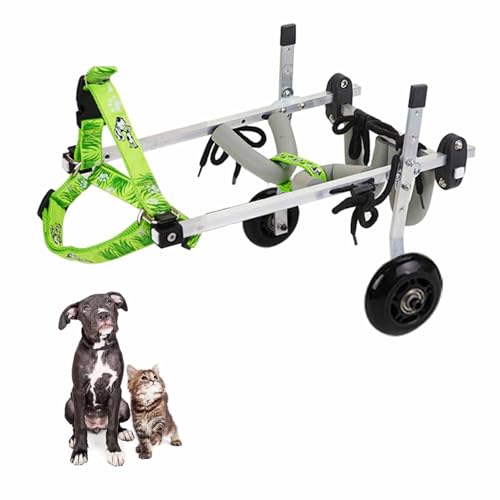 Hunderollstuhl Für Kleine Und Mittelgroße Hunde/Katzen Mobilitätshilfe Für Behinderte Haustiere Leichter Aluminiumrahmen Alter, Arthritis, Behinderung, Lähmung(M) von Generic