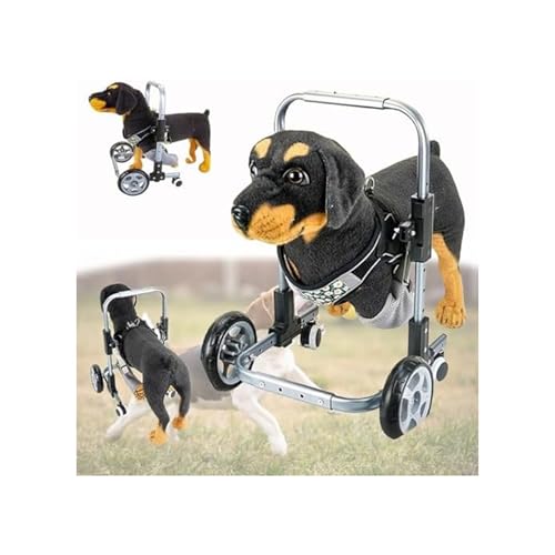 Hunderollstuhl Für Vorderbeine, Verstellbarer 4-Rad-Hunderollstuhl, Mobilitätshilfen Für Hunde Zum Spazierengehen, Haustierrollstuhl Für Hunde, Beinstütze, Hüftstütze Vorne, Schwach(S) von Generic