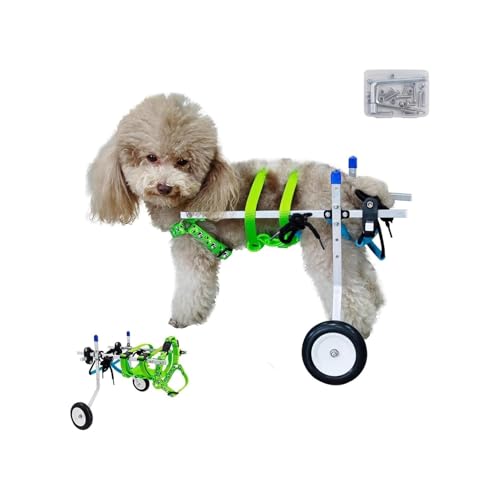 Hunderollstuhl Hunde-/Katzenrollstuhl Für Hinterbeine, XXS/Xs/kleine Haustier-Mobilitätshilfen Für Gelähmte, Behinderte, Rehabilitations-Hundebeinstütze Mit Beschlägen(S) von Generic