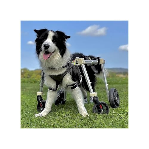 Hunderollstuhl Mit 2/4 Rädern, Verstellbar, Beinschienen-Rollstuhl Von XS Bis XXL Für Kleine, Mittelgroße Und Große Hunde, Mobilitätshilfen Für Die Hinterbeine(XXL) von Generic