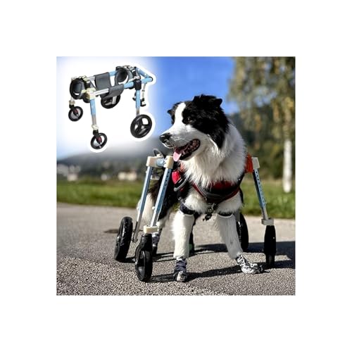 Hunderollstuhl Mit 4 Rädern, Mobilitätshilfe Für Haustiere, XS/S/M/L/XL/XXL, Vollständige Unterstützung, Beinschienen Für Hunderollstühle Für Behinderte, Verletzte Und Lahme(XXL) von Generic