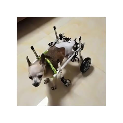 Hunderollstuhl Mit 4 Rädern, Verkrüppelte Hunderäder Für XXS/XS/S/M/L, Voll Unterstützende, Verstellbare Hundekarre/Rollstuhlstütze, Stehhilfe Für Haustiere Für Hinter-/Vorderbeine(Large Wide) von Generic