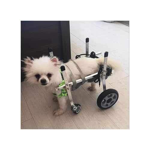 Hunderollstuhl Mit Voller Unterstützung, Hunderollstuhl Mit Hüftstütze, Gehwagen Für Kleine Hunde, 4-Rad-Beinschiene Für Behinderte Hinterbeine, Gehwagen Mit Haustierunterstützung(Large Wide) von Generic