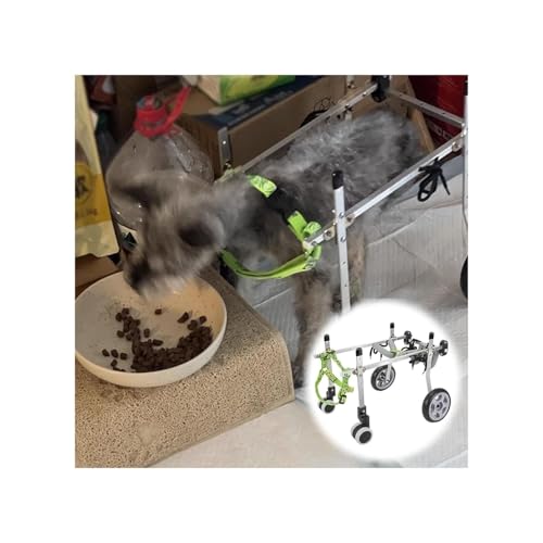 Hunderollstuhl Mit Voller Unterstützung, Hunderollstuhl Mit Vier Rädern, Hüftstütze Für Behinderte Gehbehinderte, Rehabilitationshilfen Für Hundeübungen Für Kleine/mittelgroße(XXS) von Generic