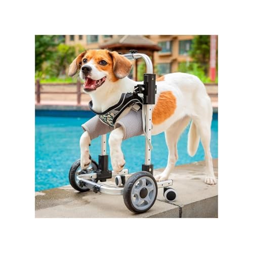 Hunderollstuhl Vorderbeine, 4-rädrig, Verstellbarer Hundewagen Rädern, Leichter Haustierrollstuhl Gehhilfen, Mobilitätshilfen Hunde, Beinstütze, Hüftstütze, Beine, Schwaches Haustier(M) von Generic