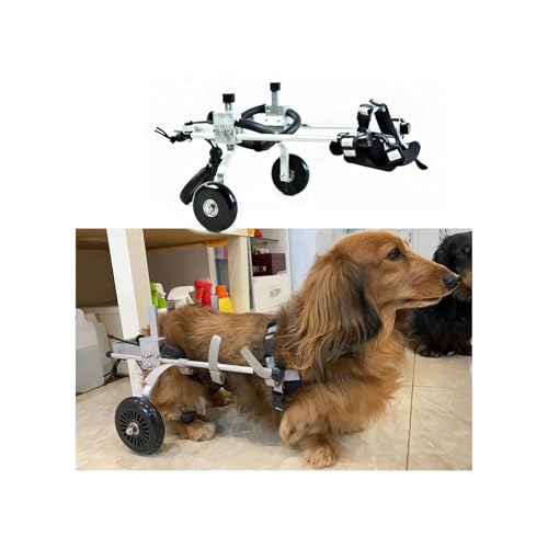 Hunderollstuhl XXXS/XXS/xs/s Für Mini-Dackel, 2 Räder, Mobilitätshilfe Für Haustiere, Hinterbeine, Verstellbare Beinschiene Zur Hunderehabilitation, Wagen(3XS) von Generic