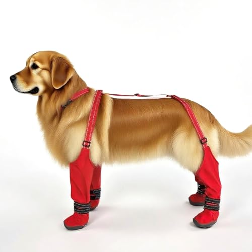 Hundeschuhe Pfotenschutz, Hundeschuhe mit Rutschfester Sohle, Hunde Schuhe Outdoor mit Anti Fall Gurt, verstellbarem Klettverschluss Hundestiefel, Plüschfutte (Rot, XL) von Generic