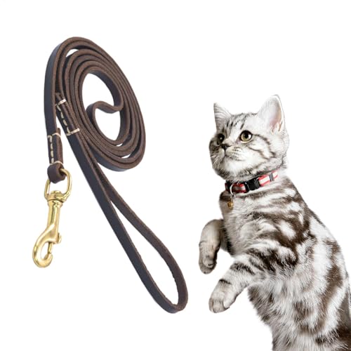 Hundeseil für große Hunde schwere Duty, kein Pull -Seil,Bequemes Griffseil | Ergonomisches Hundeausbildungshilfen, leicht für mittel- bis großer Tier Hundeseil für große Hunde schwere Duty, kein Pull -Seil,Bequemes Griffseil | Ergonomisches Hundeausbildungshilfen, leicht für mittel- bis großer Tier von Generic