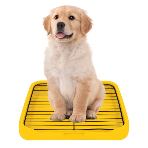 Hundetoilette, Hundetöpfchen-Tablett, Tragbarer Hundetoilette für Den Innenbereich, Abnehmbare Hundetoilette aus Netzstoff, Toiletten Trainingstablett für Kleine und Mittelgroße Hunde, Gelb Hundetoilette, Hundetöpfchen-Tablett, Tragbarer Hundetoilette für Den Innenbereich, Abnehmbare Hundetoilette aus Netzstoff, Toiletten Trainingstablett für Kleine und Mittelgroße Hunde, Gelb von Generic