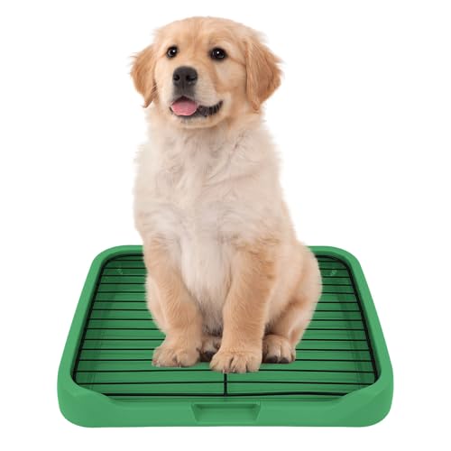 Hundetoilette, Hundetöpfchen-Tablett, Tragbarer Hundetoilette für Den Innenbereich, Abnehmbare Hundetoilette aus Netzstoff, Toiletten Trainingstablett für Kleine und Mittelgroße Hunde, Grün Hundetoilette, Hundetöpfchen-Tablett, Tragbarer Hundetoilette für Den Innenbereich, Abnehmbare Hundetoilette aus Netzstoff, Toiletten Trainingstablett für Kleine und Mittelgroße Hunde, Grün von Generic