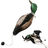 Hundetrainings-Entenschnuller, Gun Dog Trainingsdummy mit Wurfknebel, Hund Retrieve Schnuller, Vogeldummy Hundetraining für Welpen oder erwachsene Jagdhunde Hundetrainings-Entenschnuller, Gun Dog Trainingsdummy mit Wurfknebel, Hund Retrieve Schnuller, Vogeldummy Hundetraining für Welpen oder erwachsene Jagdhunde von Generic