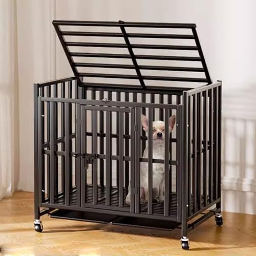 Hundetransportbox Hundebox Auto 2/3 Türen Moderne Hundekäfig Indoor for Kleine/mittlere Hunde Edelstahl-Vierkantrohr Lenkrollen Mit Bremse und Ablage(78 * 50 * 70cm) von Generic