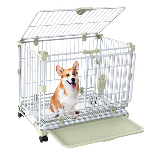 Hundetransportbox Hundezwinger Hundebox Faltbar Eisenrahmen 2- Bis 3-Fach Stapelbar Doppeltüren Ausbruchsicher Mit Lenkrollen und Tablett Leicht Zu Reinigen(Green,61.5 * 43 * 56cm) von Generic