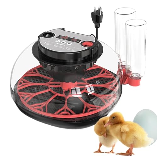 Inkubator für Hühnereier: Inkubatoren für Eier von Candlern, mit transparentem Deckel, LED-Beleuchtungsdesign für Huhn, Enten von Generic