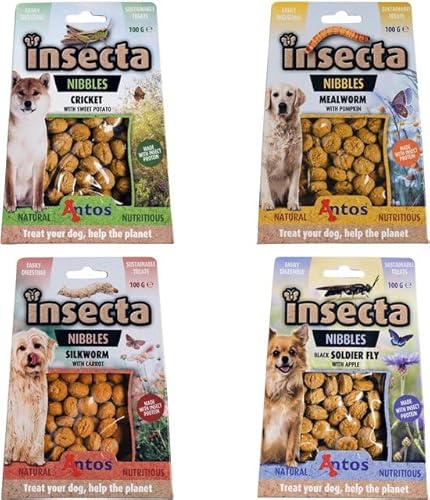Insecta Nibbles 4 Mix Probepaket Insekten Snacks Mehlwurm, Schwarze Soldatenfliege Krickel Seidenraupe von Generic