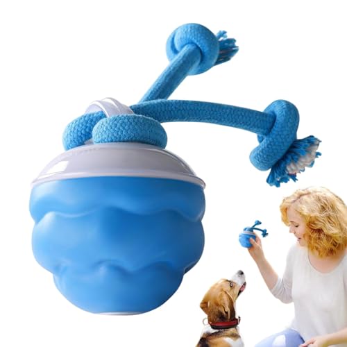 Interaktiver Ball für Hunde, bewegliche Hundekugel – Berühren Sie das aktivierte Spielzeug für Haustiere in Innenräumen | USB wiederaufladbare Rollbälle, intelligentes interaktives Spielzeug für von Generic