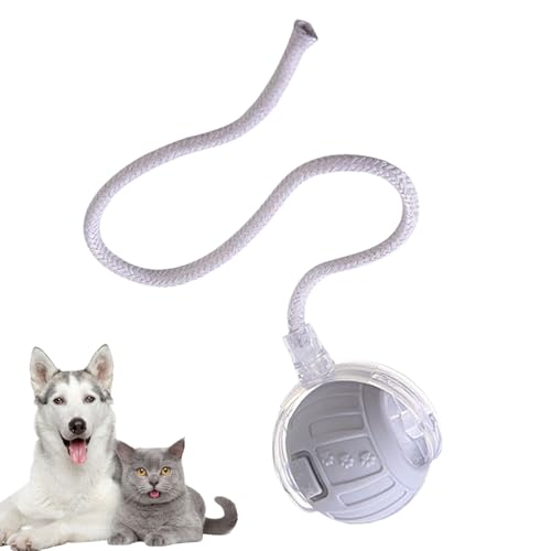 Interaktiver Ball für Katzen – Rollspielzeug für Katzen im Innenbereich | Intelligenter elektrischer Ball mit Seil zur Stimulierung der Jagd des Kätzchens und zur Reduzierung von Langeweile im Haus Interaktiver Ball für Katzen – Rollspielzeug für Katzen im Innenbereich | Intelligenter elektrischer Ball mit Seil zur Stimulierung der Jagd des Kätzchens und zur Reduzierung von Langeweile im Haus von Generic
