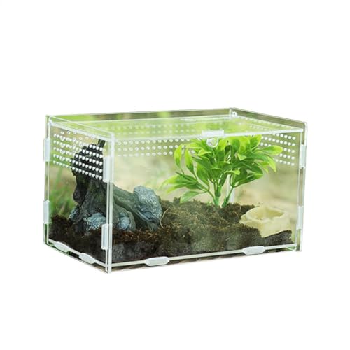 Käfig für Reptilien - Zuchtbehälter, Mini Transparent Vivary | Lieferungen für Schneckeninsekten Raupen, perfekt für kleine exotische Haustiere, einfache Reinigung und Aufrechterhaltung des Lebensraum von Generic