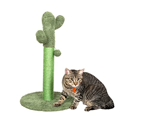 Kaktus-Kratzbaum, für alle Katzen, für Indoor-Katzen, Krallenkratzer, mit einem flauschigen grünen baumelnden Ball von Generic