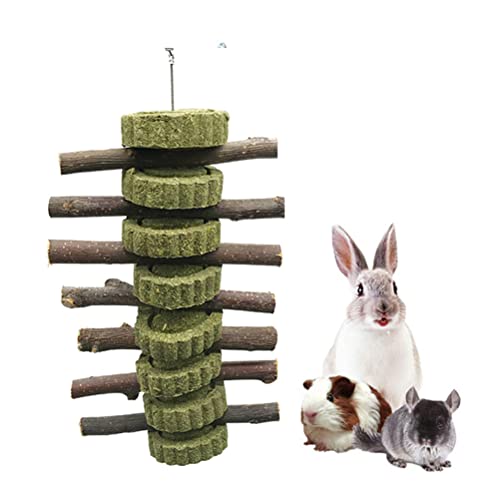 Kaninchen Kauspielzeug für Zähne,Kaninchenspielzeug Zubehör,Haustier Käfig Unterhaltung Zubehör Bio Apfel Sticks für Chinchilla Meerschweinchen Hamster Ratte Gerbil von Generic