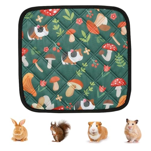 Kaninchenmatten, Waschbare Bodenmatte für Kaninchen, Wiederverwendbare Plasmatte Bodenabdeckung für Kaninchenstall Indoor Outdoor Garten Home Travel Schlafruhe von Generic