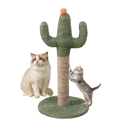 Katzen-Katzenkratzer, Katzenbaum- – Katzenpost Lindo Kratzbaum | natürliches Sisal mit interaktivem Ball, stabile Kratzpfosten für Kätzchen, Kakteen, Katzen, Baum Katzen-Katzenkratzer, Katzenbaum- – Katzenpost Lindo Kratzbaum | natürliches Sisal mit interaktivem Ball, stabile Kratzpfosten für Kätzchen, Kakteen, Katzen, Baum von Generic