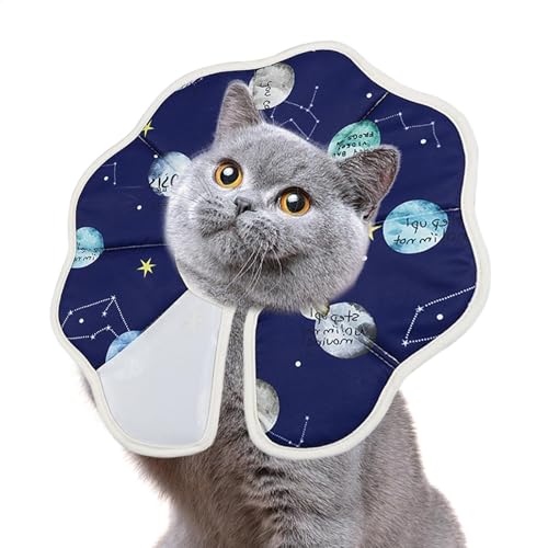 Katzen-Kegelhalsband, Katzen-Erholungshalsband | Weiches Katzenhalsband - Anti-Biss-Halsband, Faltbarer Halsschutz für Katzen, Welpen, Kaninchen, verhindert, DASS Haustiere Wunden lecken Katzen-Kegelhalsband, Katzen-Erholungshalsband | Weiches Katzenhalsband - Anti-Biss-Halsband, Faltbarer Halsschutz für Katzen, Welpen, Kaninchen, verhindert, DASS Haustiere Wunden lecken von Generic