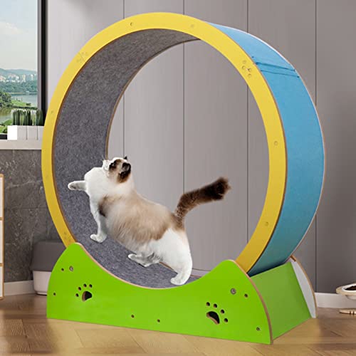 Katzen-Laufrad, Katzen-Rad-Übungsgerät, bunt, Katzen-Laufband zum Abnehmen, Laufband für Katzen, Hamsterrad-Stil, Katzen-Übungsrad/Kätzchen-Spinnrad Katzen-Laufrad, Katzen-Rad-Übungsgerät, bunt, Katzen-Laufband zum Abnehmen, Laufband für Katzen, Hamsterrad-Stil, Katzen-Übungsrad/Kätzchen-Spinnrad von Generic