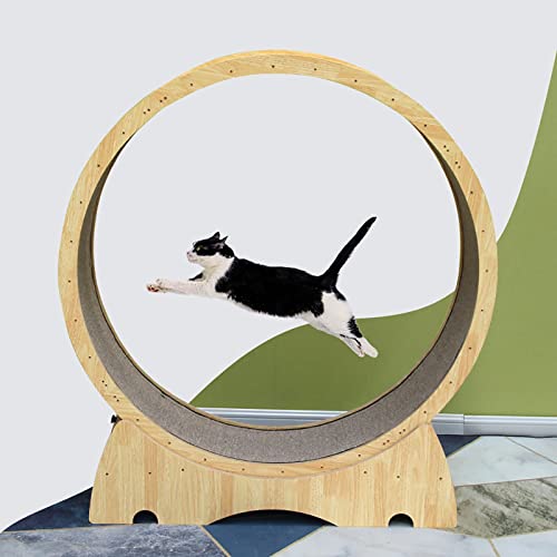 Katzen-Laufrad, Katzen-Übungsrad, Laufband, Katzen-Rad-Trainingsgerät für Hauskatzen, Katzen-Spinnrad-Abnehmgerät, geräuschloses Kitty-Laufspielzeug (Größe: 72 cm (28 3/8 Zoll)) von Generic