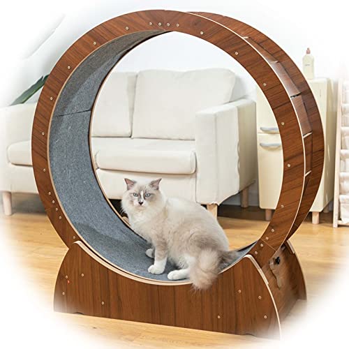 Katzen-Laufrad, Katzen-Übungsrad, braunes Katzenlaufband, Anti-Klemm-Katzenrad-Trainingsgerät für Katzen/Kätzchen im Innenbereich, multifunktionales Katzen-Laufrad/Haustierspielzeug (Größe: Katzen-Laufrad, Katzen-Übungsrad, braunes Katzenlaufband, Anti-Klemm-Katzenrad-Trainingsgerät für Katzen/Kätzchen im Innenbereich, multifunktionales Katzen-Laufrad/Haustierspielzeug (Größe: von Generic