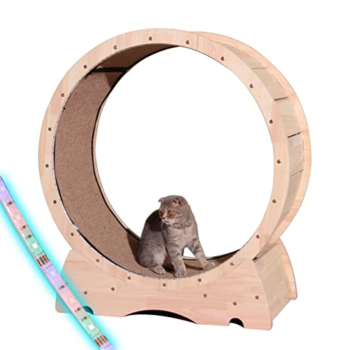 Katzen-Laufrad, Katzen-Übungsrad mit Buntem LED-Licht, Katzen-Laufrad, austauschbare Landebahn, aus haustierfreundlichem Massivholz, zum Kratzen, Klettern und Nickerchen Machen Katzen-Laufrad, Katzen-Übungsrad mit Buntem LED-Licht, Katzen-Laufrad, austauschbare Landebahn, aus haustierfreundlichem Massivholz, zum Kratzen, Klettern und Nickerchen Machen von Generic