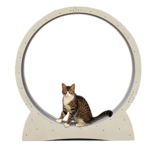 Katzen-Laufrad, Katzen-Übungsrad mit Kratzbrett, Katzen-Laufrad für Katzen im Innenbereich, austauschbares Kratzbrett am Katzenrad, sehr einfach zu montierender Katzenturm Katzen-Laufrad, Katzen-Übungsrad mit Kratzbrett, Katzen-Laufrad für Katzen im Innenbereich, austauschbares Kratzbrett am Katzenrad, sehr einfach zu montierender Katzenturm von Generic