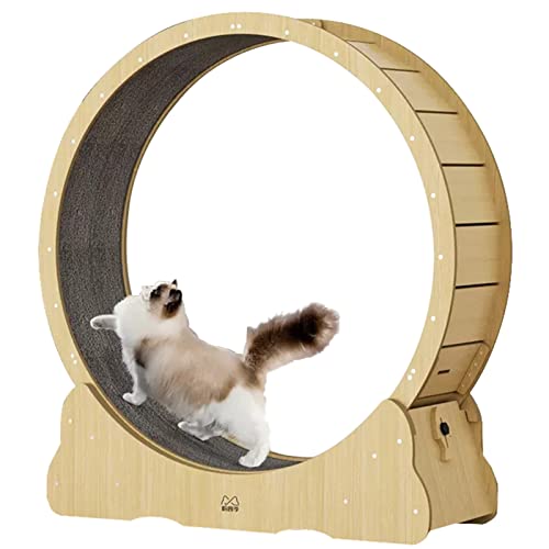 Katzen-Laufrad, extra großes Katzen-Übungsrad, robust, abschließbar, aus massivem Holz, leise Drehung, Katzen-Laufrad/Gerät zur Gewichtsreduktion, längere Lebensdauer (Größe: L-100 cm (39,4 Katzen-Laufrad, extra großes Katzen-Übungsrad, robust, abschließbar, aus massivem Holz, leise Drehung, Katzen-Laufrad/Gerät zur Gewichtsreduktion, längere Lebensdauer (Größe: L-100 cm (39,4 von Generic