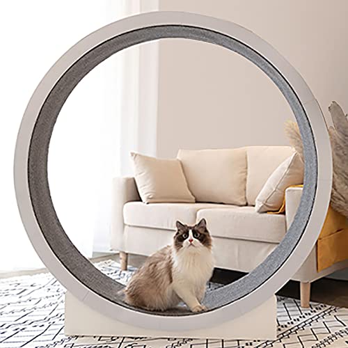 Katzen-Laufrad, kein Spalt, Anti-Klemm-Katzen-Übungsrad, großes Katzen-Laufrad mit leisen Riemenscheiben, interaktives Katzenspielzeug für den Innenbereich, weiß Katzen-Laufrad, kein Spalt, Anti-Klemm-Katzen-Übungsrad, großes Katzen-Laufrad mit leisen Riemenscheiben, interaktives Katzenspielzeug für den Innenbereich, weiß von Generic