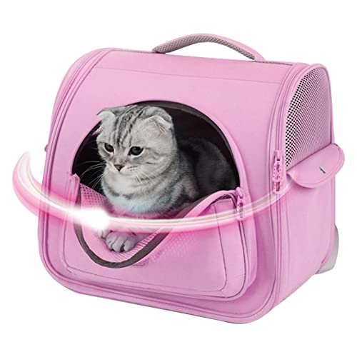 Katzen-Rucksack – belüftete Tragetasche für kleine Hunde und Katzen, Haustierwandern von Generic