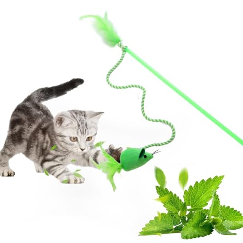 Katzen Teaser Zauberstab, Katzenstabspielzeug für Innenkatzen | Gefüllte Mäuse formen interaktive Federstock Cat Toys - Kätzchen -Übungsstab Spielzeug Katzenminister für Katzenfitness, alle Rassengröß Katzen Teaser Zauberstab, Katzenstabspielzeug für Innenkatzen | Gefüllte Mäuse formen interaktive Federstock Cat Toys - Kätzchen -Übungsstab Spielzeug Katzenminister für Katzenfitness, alle Rassengröß von Generic