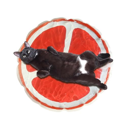 Katzen-Wasserbett – Kühlende Wasser-Haustier-Pads | Runde Kühlende Wasser-Haustierpads, Multifunktionale Katzen-Spritzmatte, Kühlende Spielmatte Für Katzen, Wassersensorische Spielmatte Mit Fruchtmust Katzen-Wasserbett – Kühlende Wasser-Haustier-Pads | Runde Kühlende Wasser-Haustierpads, Multifunktionale Katzen-Spritzmatte, Kühlende Spielmatte Für Katzen, Wassersensorische Spielmatte Mit Fruchtmust von Generic